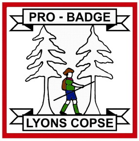 Pro-Badge Scout Training